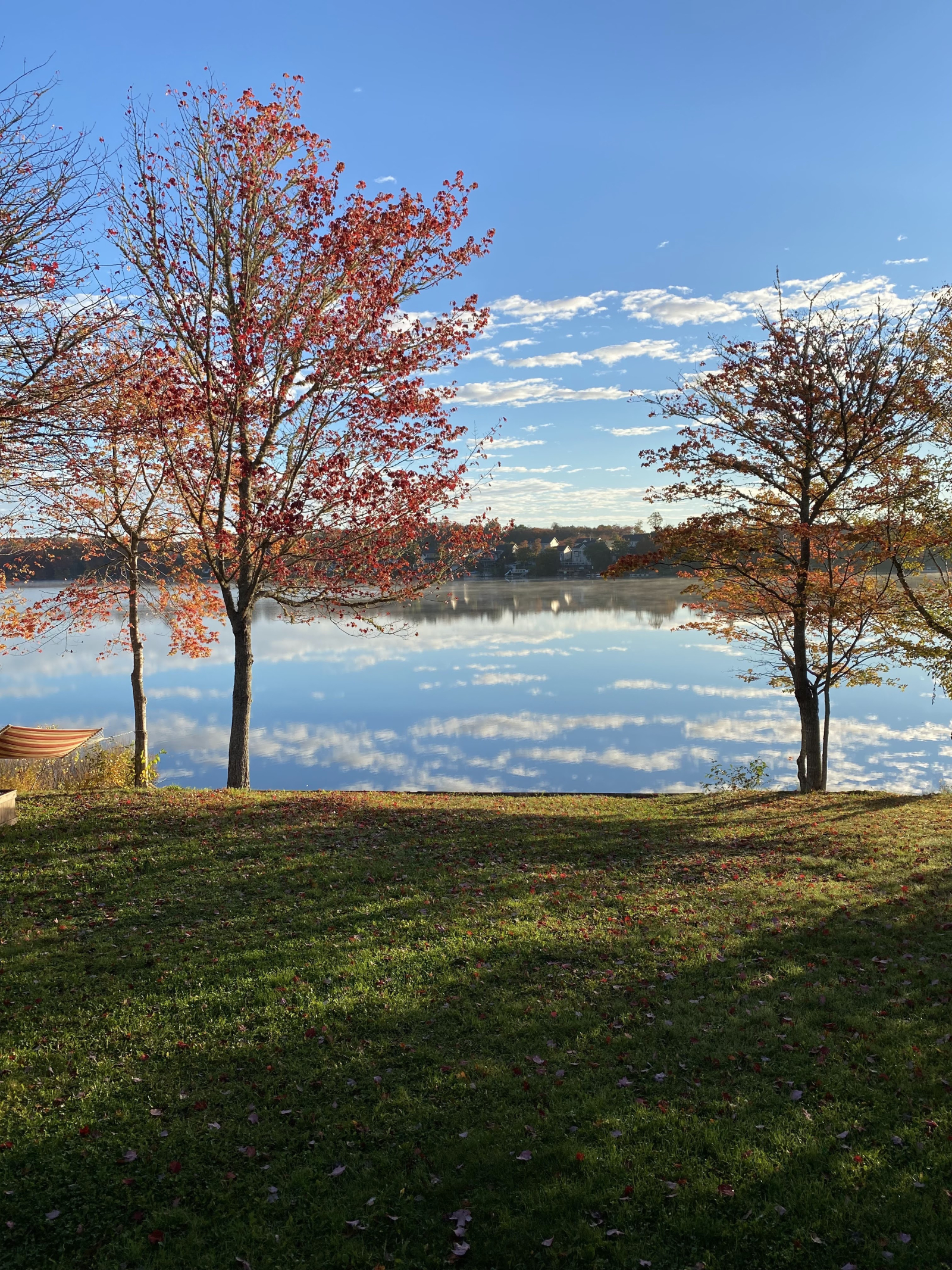 Herbstlicher Hinterhof