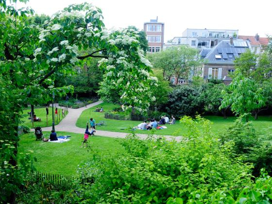 🌿 A pocos pasos de distancia, Parc Tenbosch es un refugio maravillosamente cuidado, como entrar en ...
