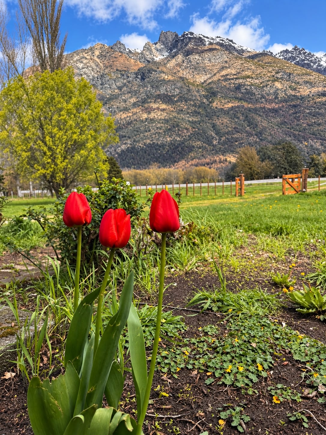 Chalet de montagne en Patagonie argentine