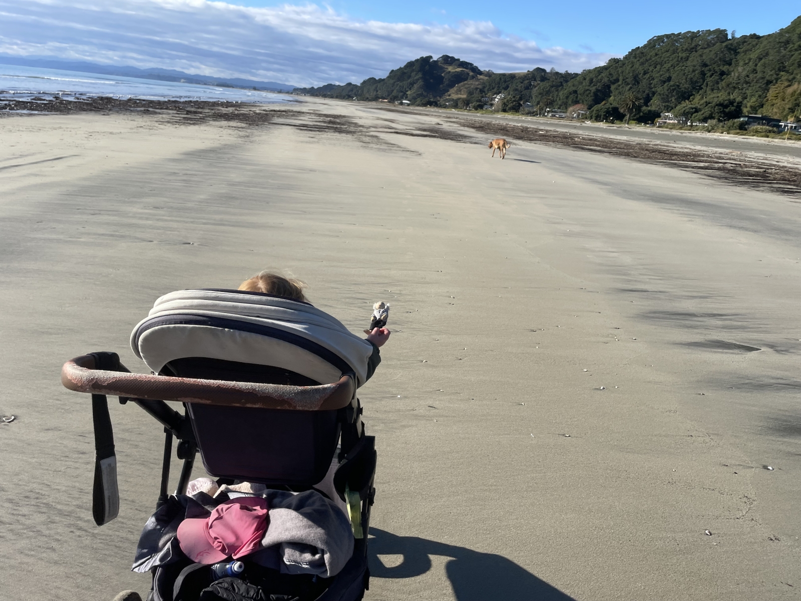 Sunny home… 4 minutes drive to New Zealand’s best Family Friendly Beach, with ocean views, native birds and a playground!