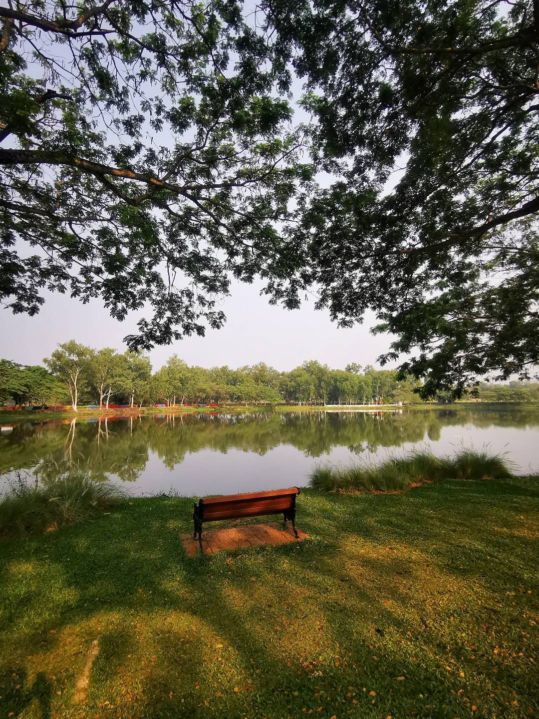 Take your favorite book come sit here to read