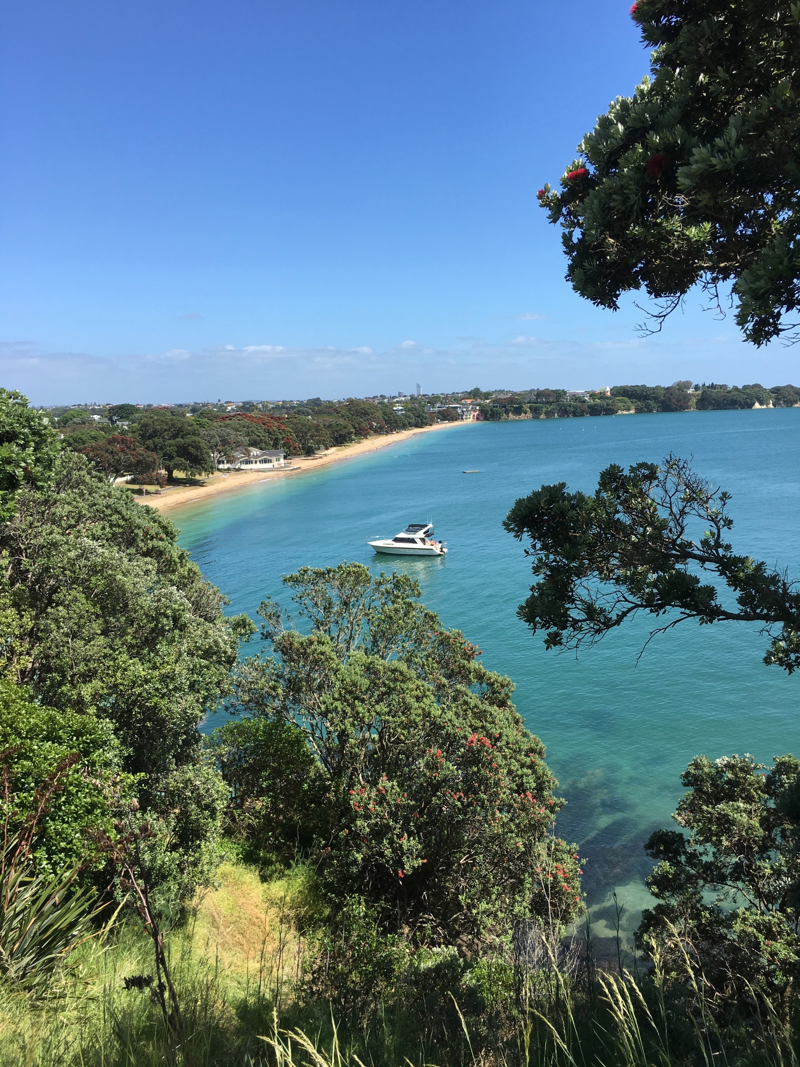 Looking down onto Cheltenham beach from North Head