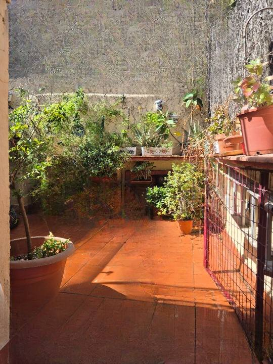 Terraço no térreo com acesso pela sala de jantar