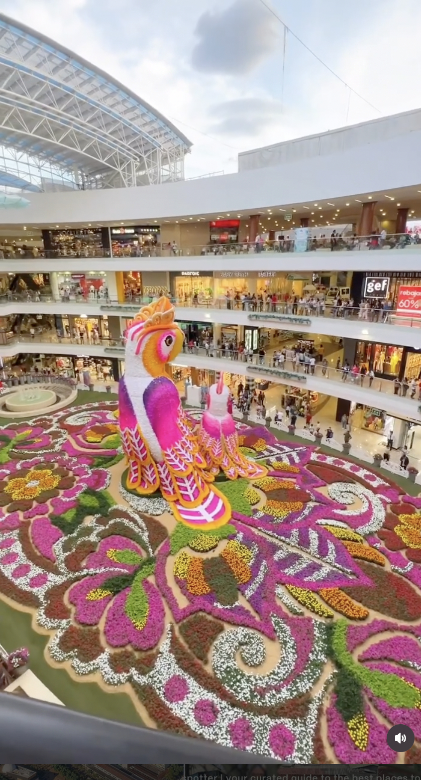 Flower festival in Santa Fe Mall