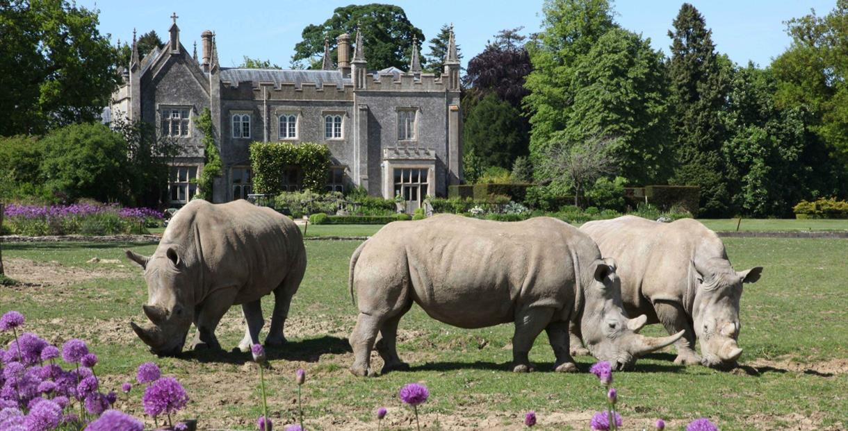 Aile familiale de la maison historique - parfaite pour explorer les Cotswolds