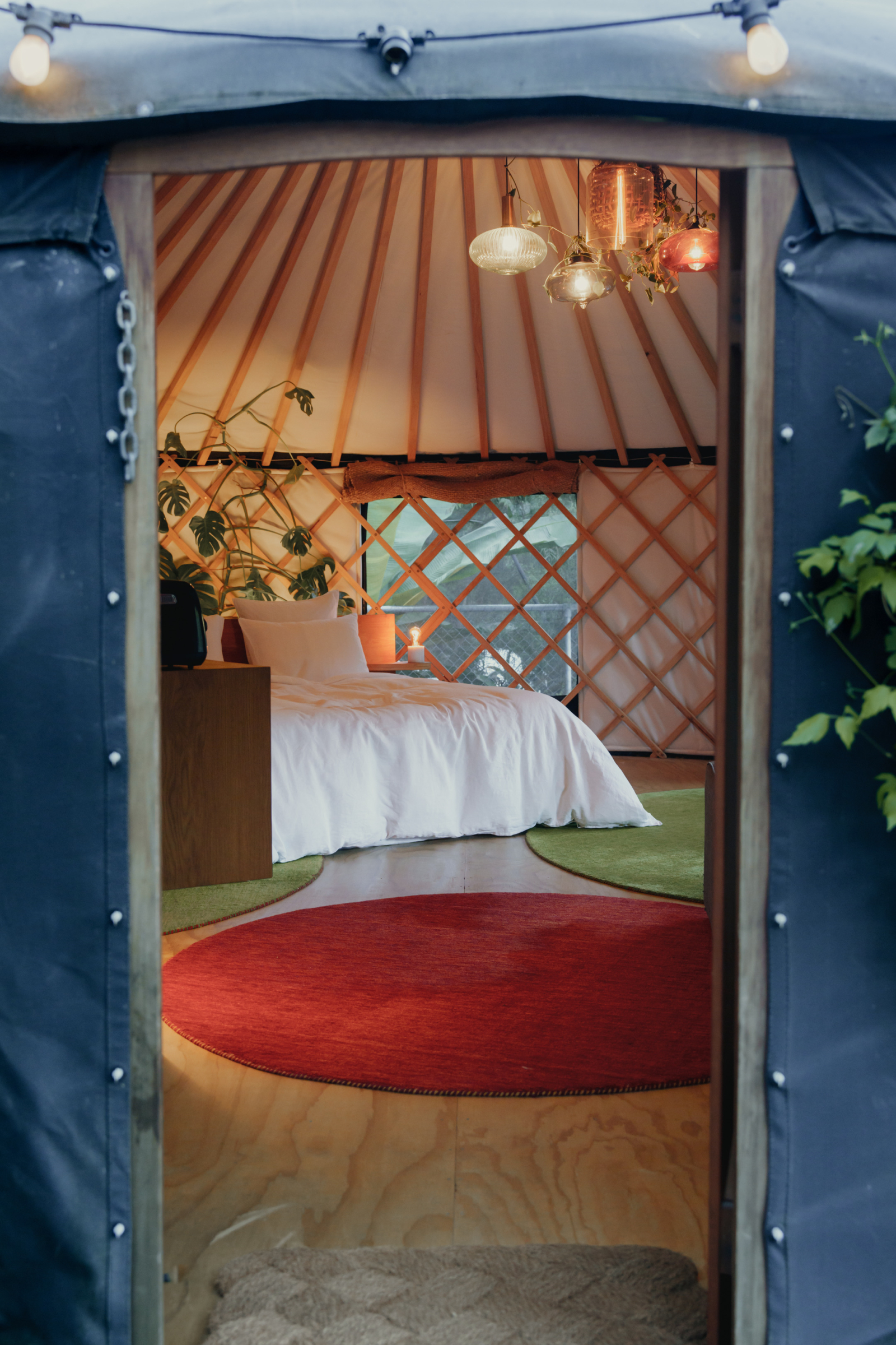 YURT surrounded by trees