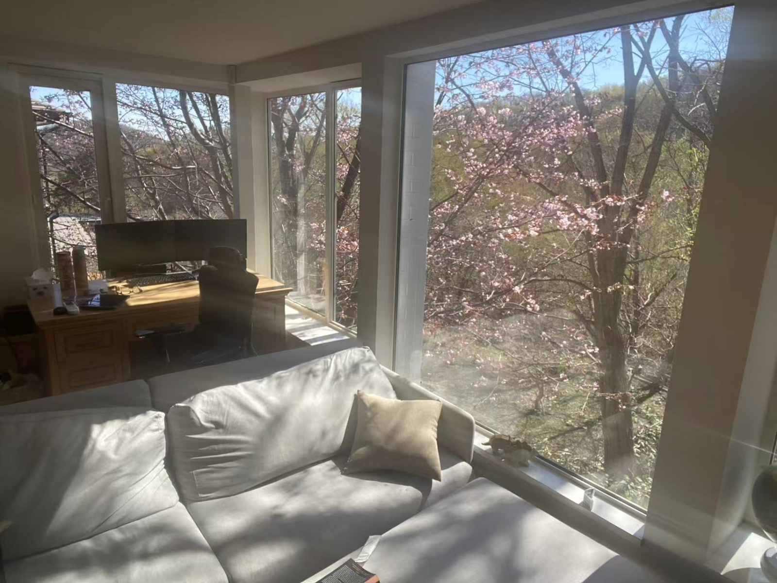 Newly Renovated House with a View in Sapporo