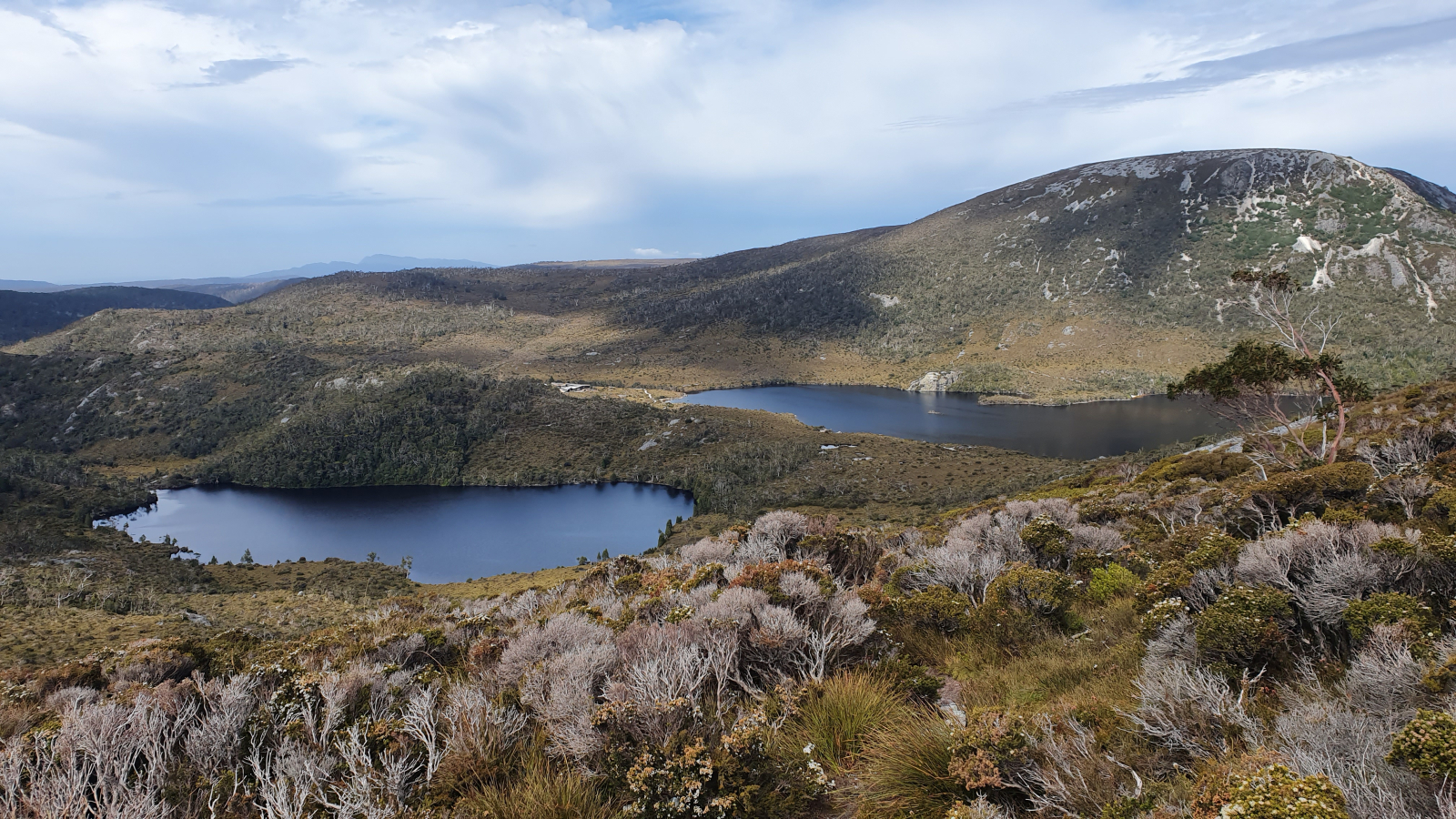 Vue du lac Crater dans le parc national de Cradle Mountain