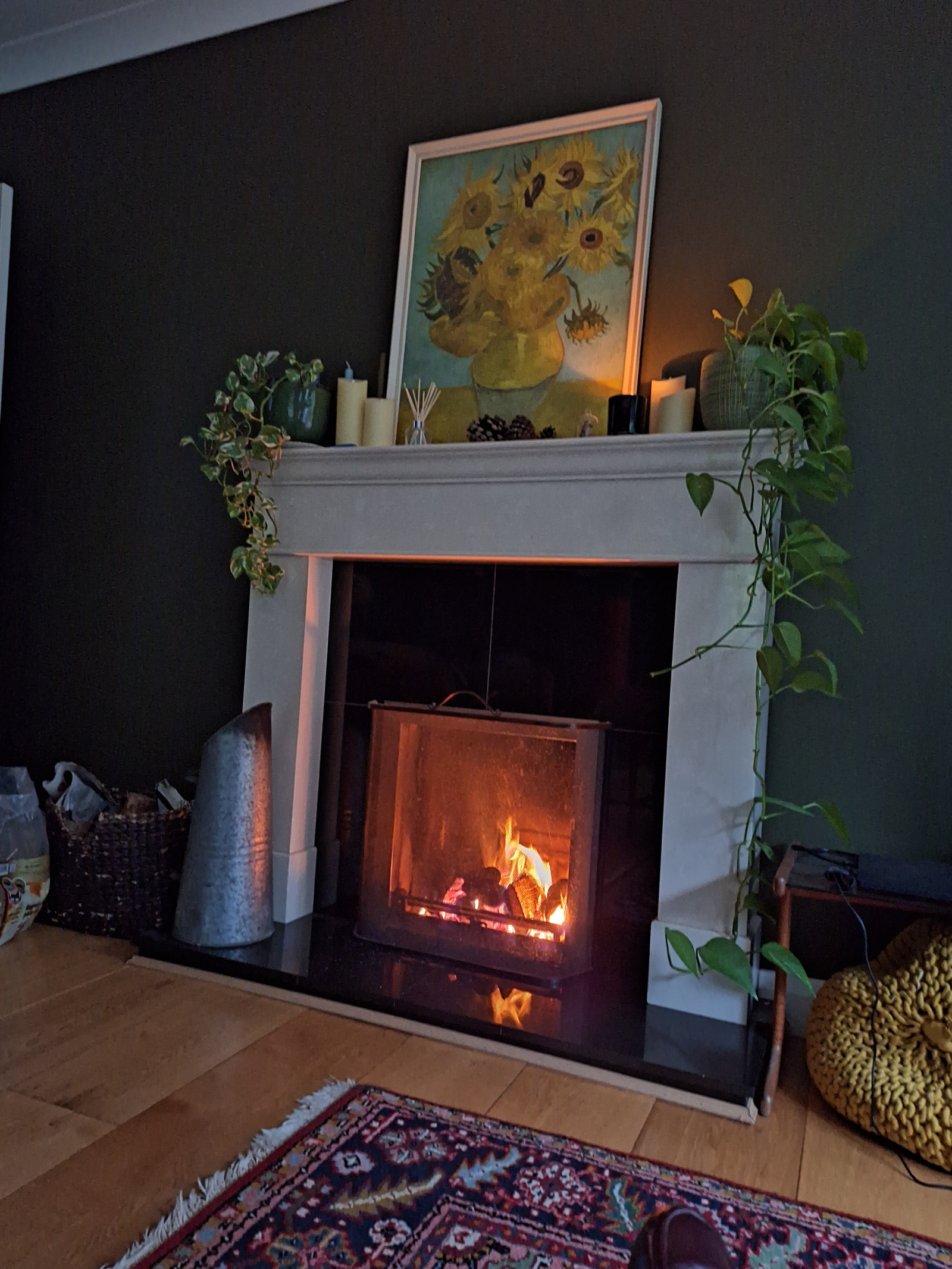 Enjoy a cosy fire in the living room