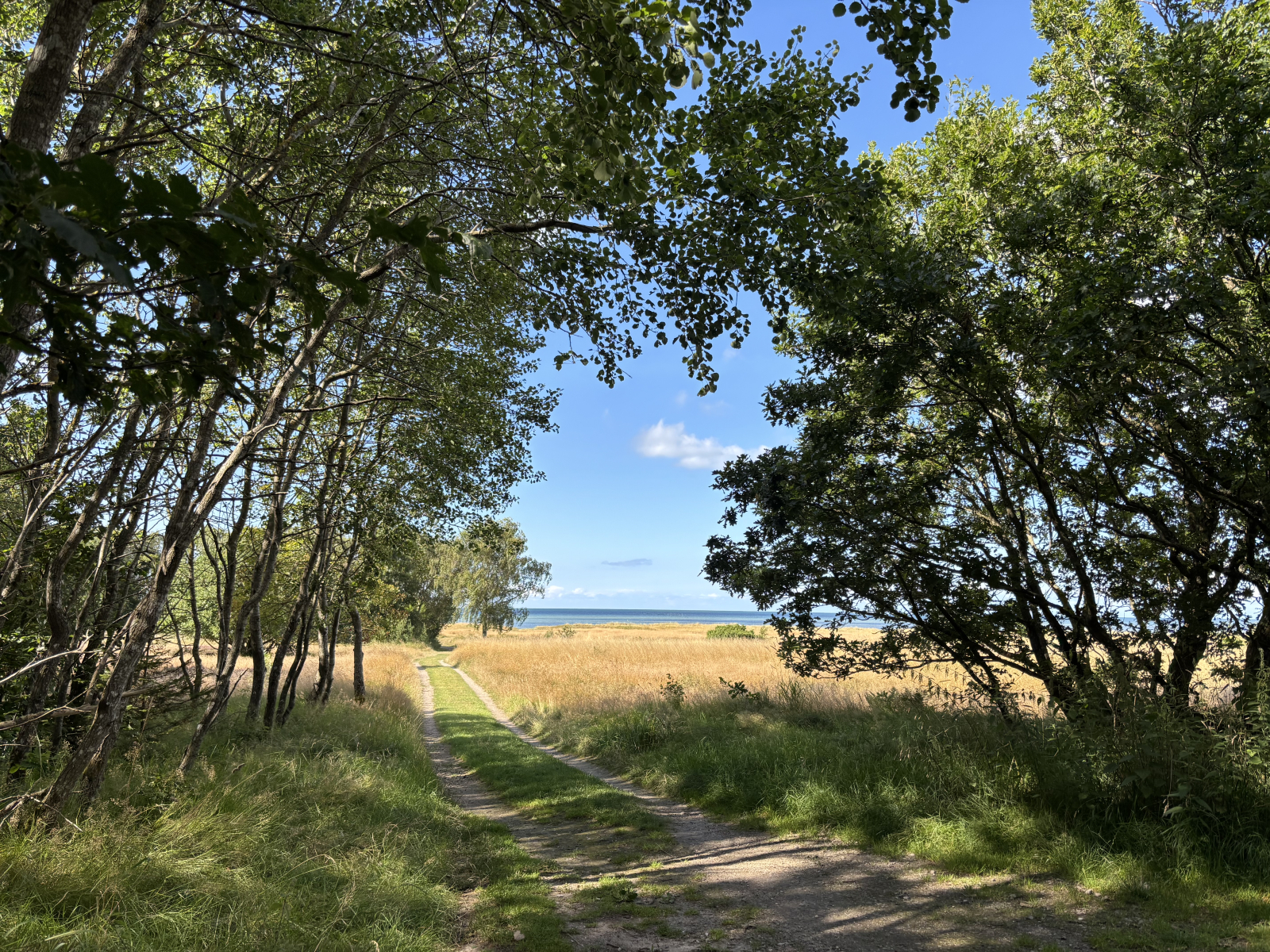 Littoral/forêt près de la maison