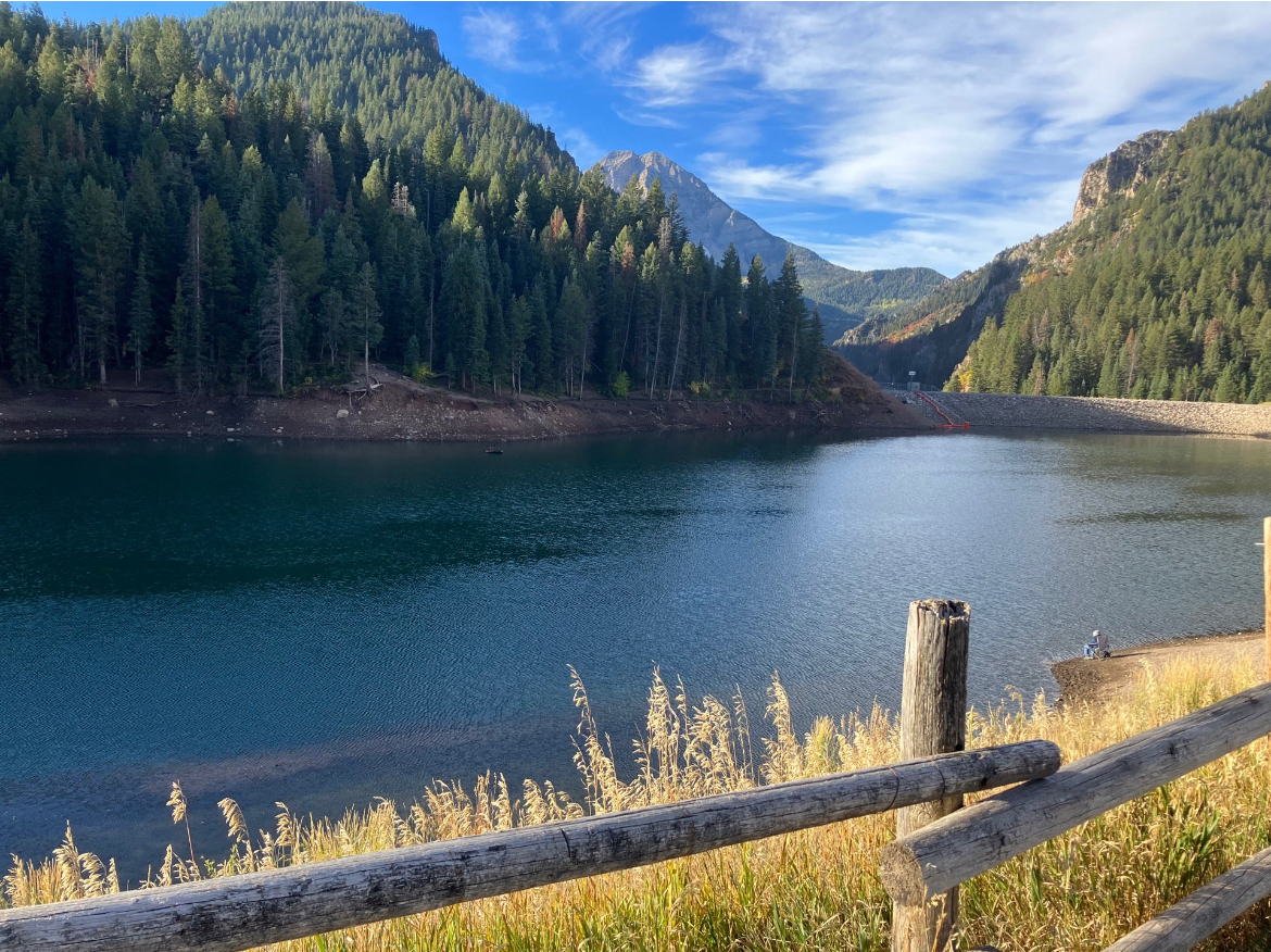 Tibble Fork
