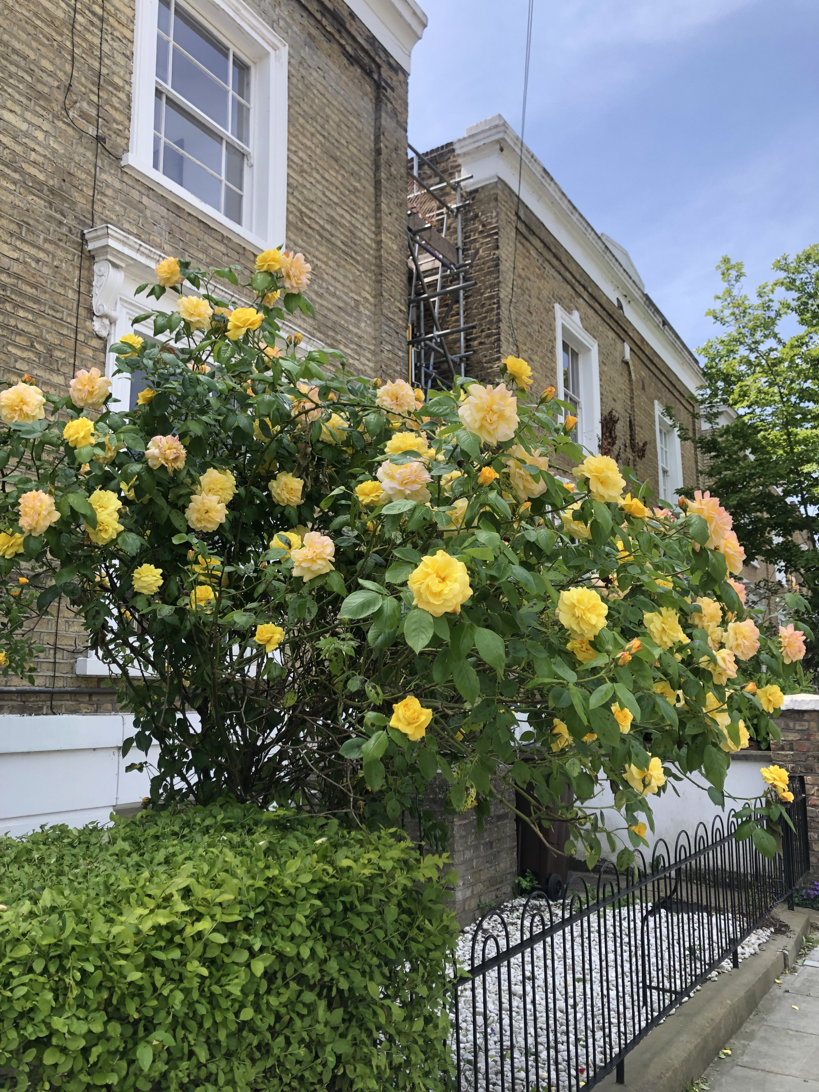 Londra elegante vivere in un quartiere creativo