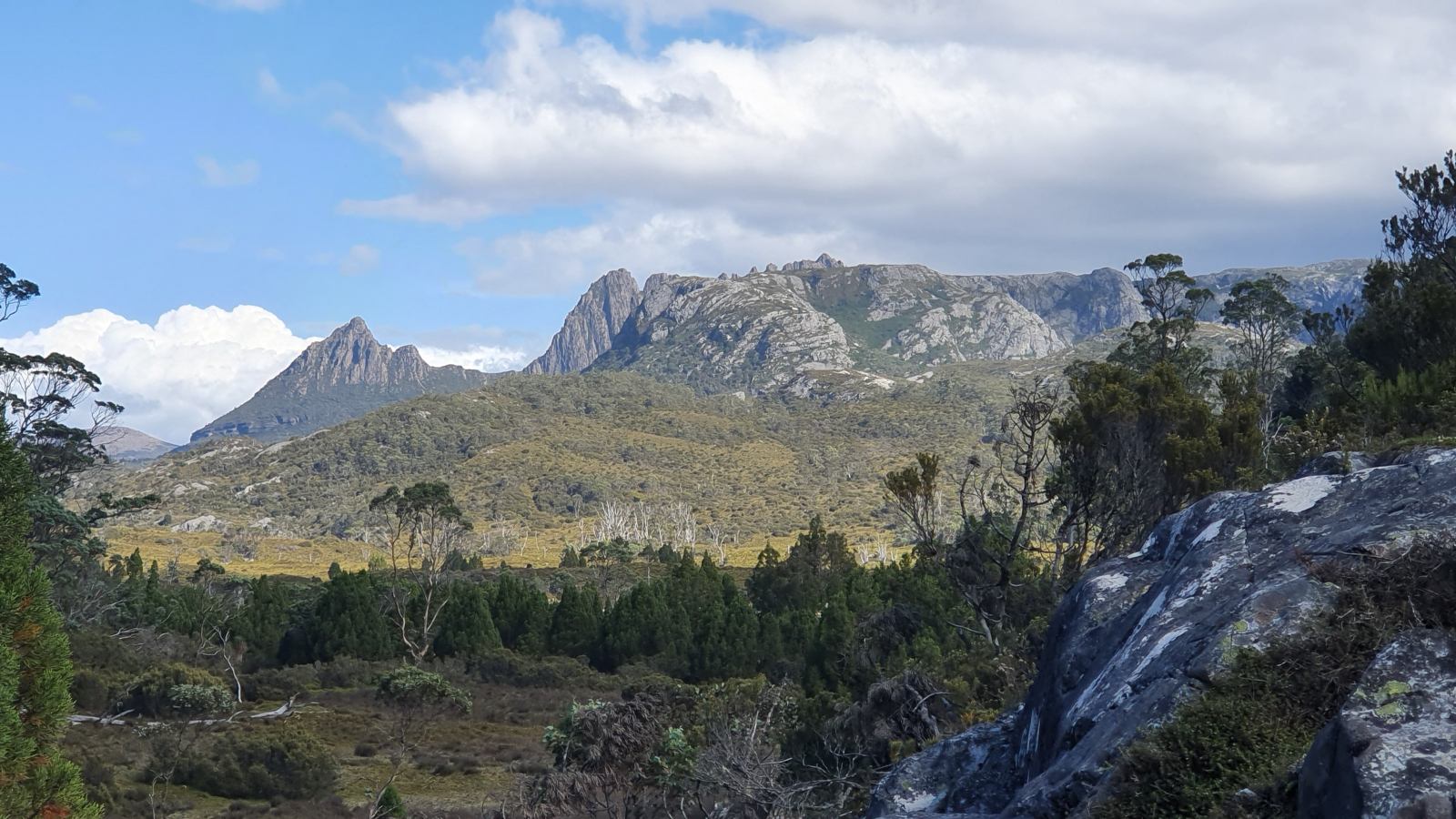 Cradle Mountain depuis Snake Hill Walk