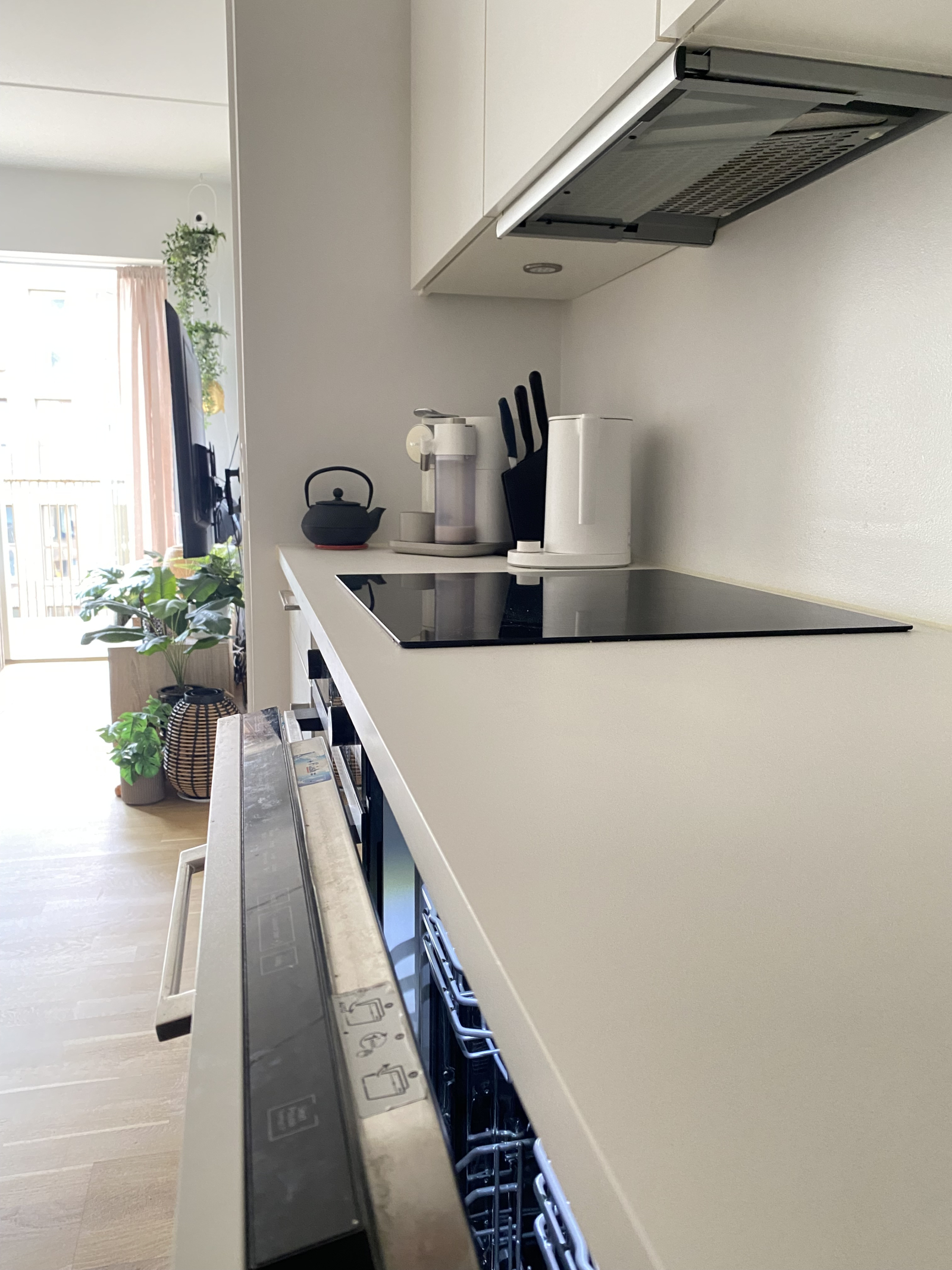 Cozy Copenhagen flat