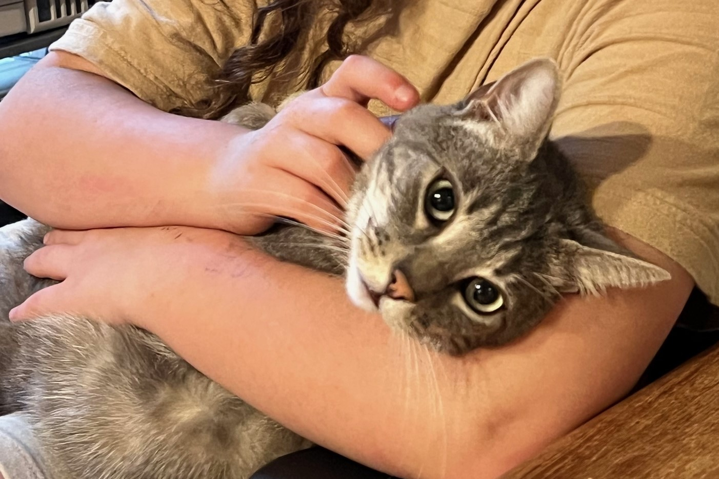 Abbiamo due gatti. La disponibilità ad accoglierli nella tua famiglia mentre sei qui è essenziale :)  Il nostro gattino maschio è abbastanza socievole. Gli piace giocare e coccolarsi.