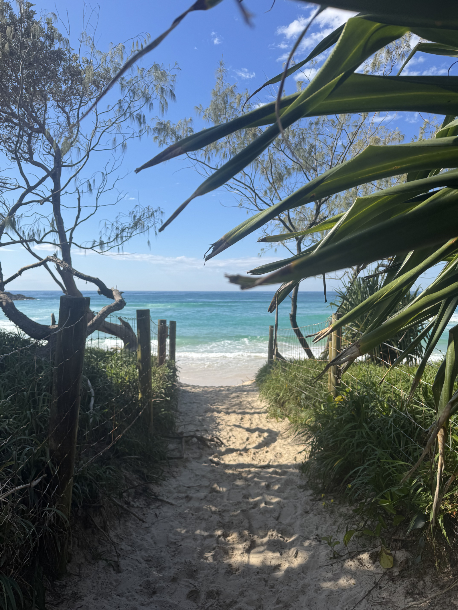 Strand, Bach, Pool, Berge – Im Norden von NSW, Australien, eine große Auswahl