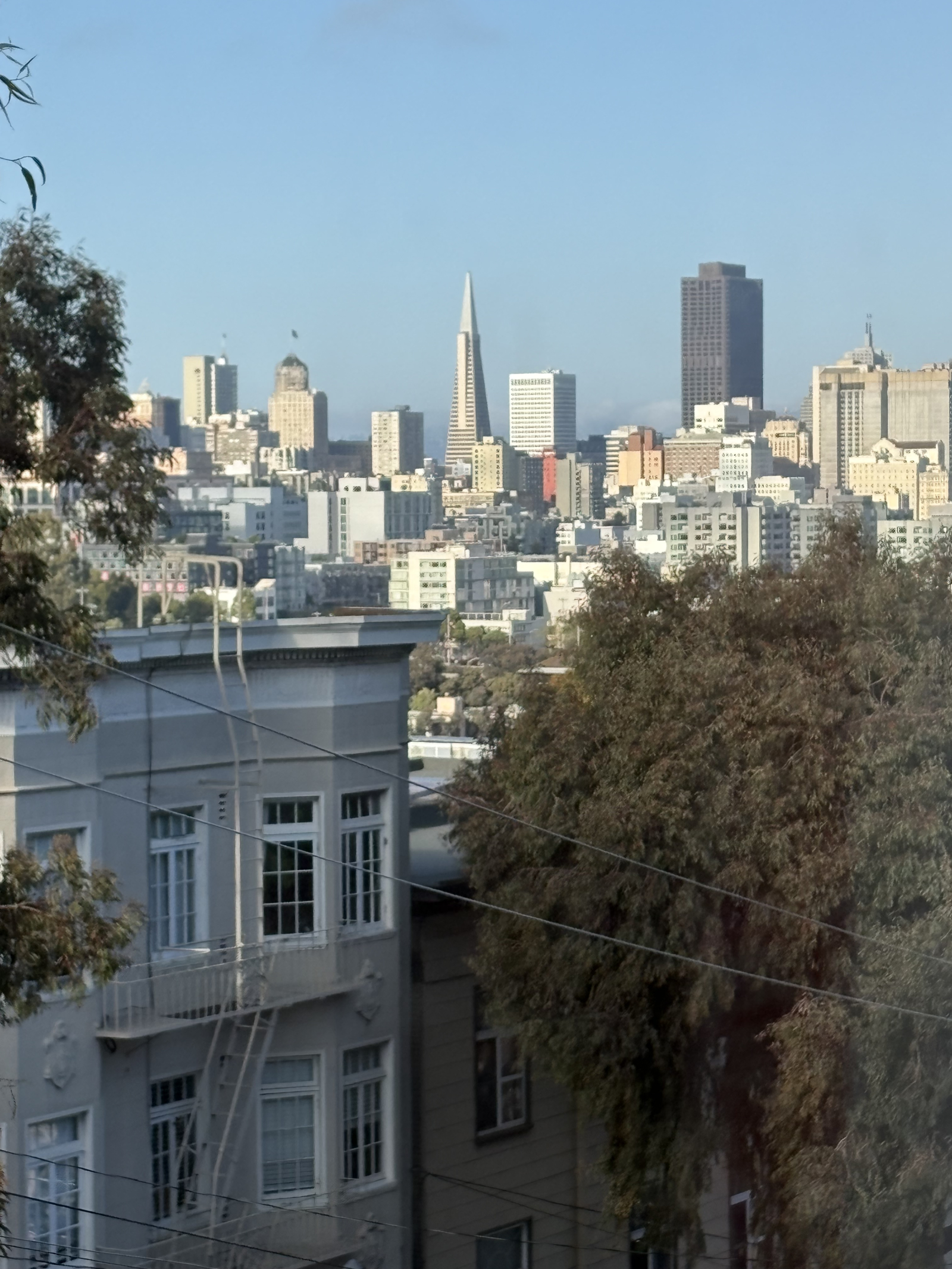 View from my living room window.