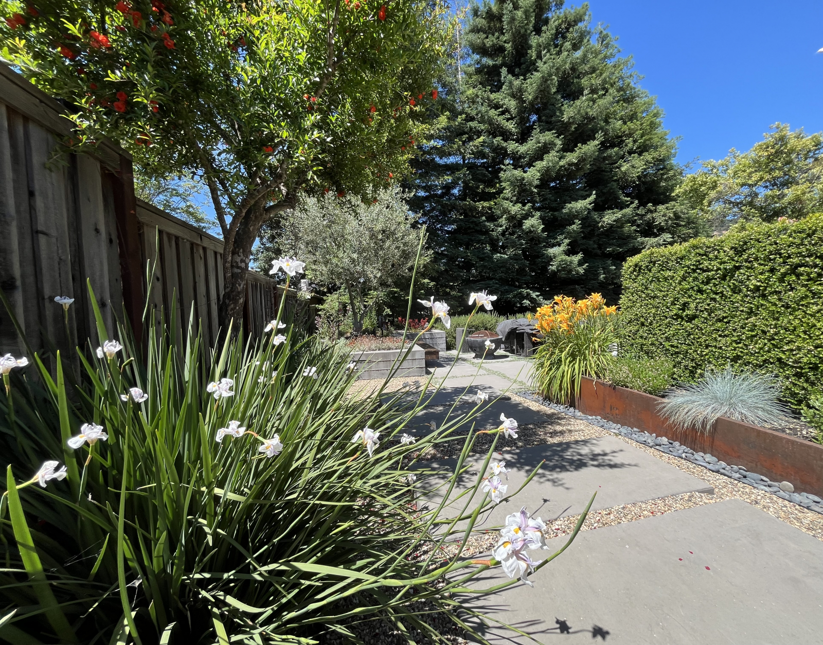 Walk, Wine, Shop and Explore Napa