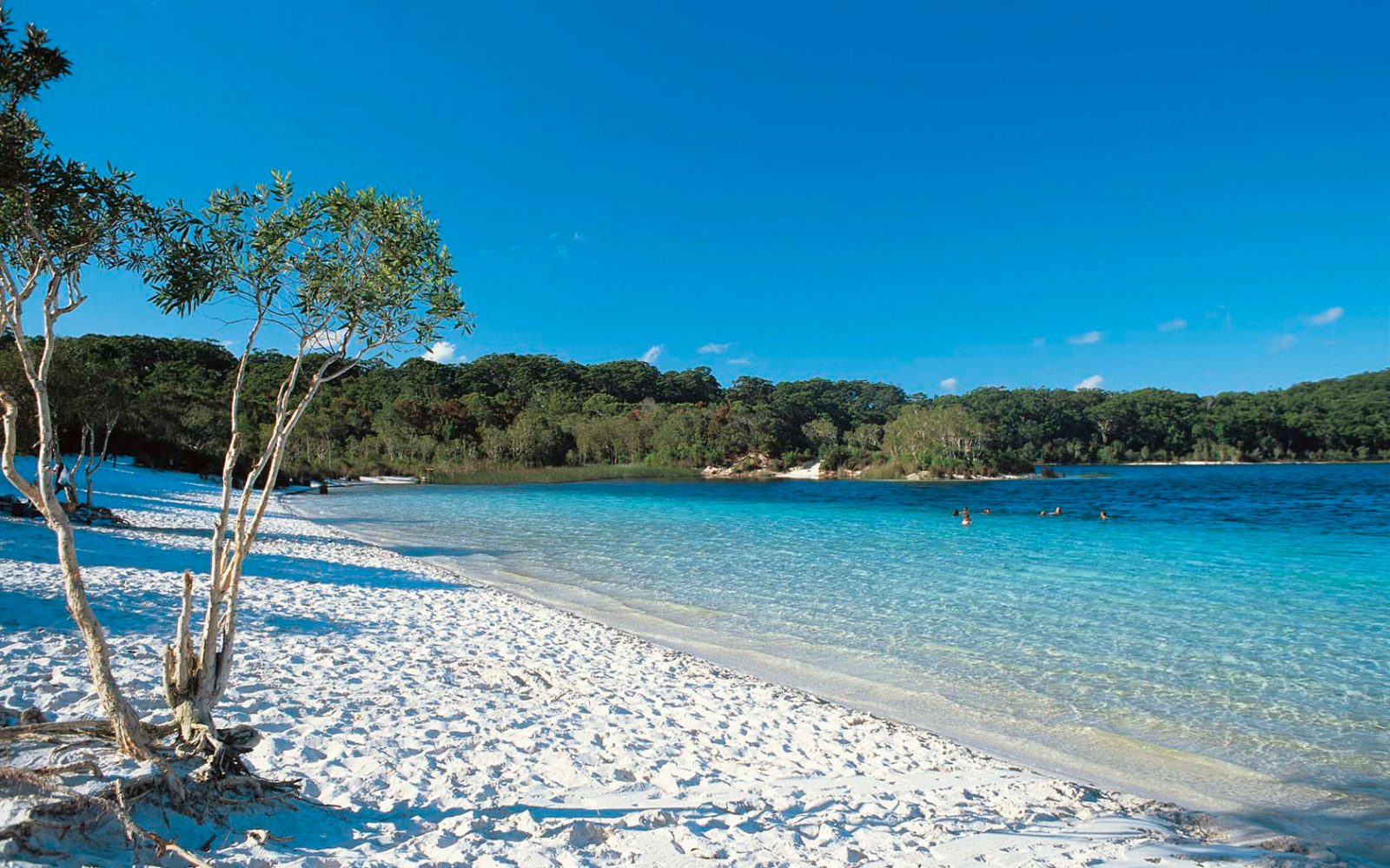Lake McKenzie on Fraser Island (K'gari). Crystal clear water - great for a swim.