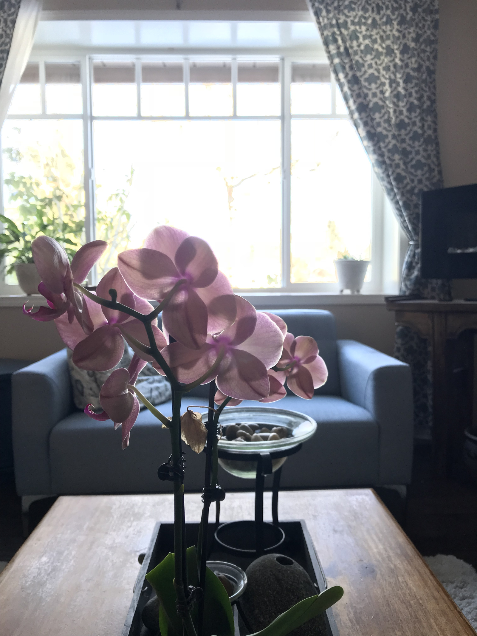 Comfortable family home with access to Vancouver, local mountains, and ocean