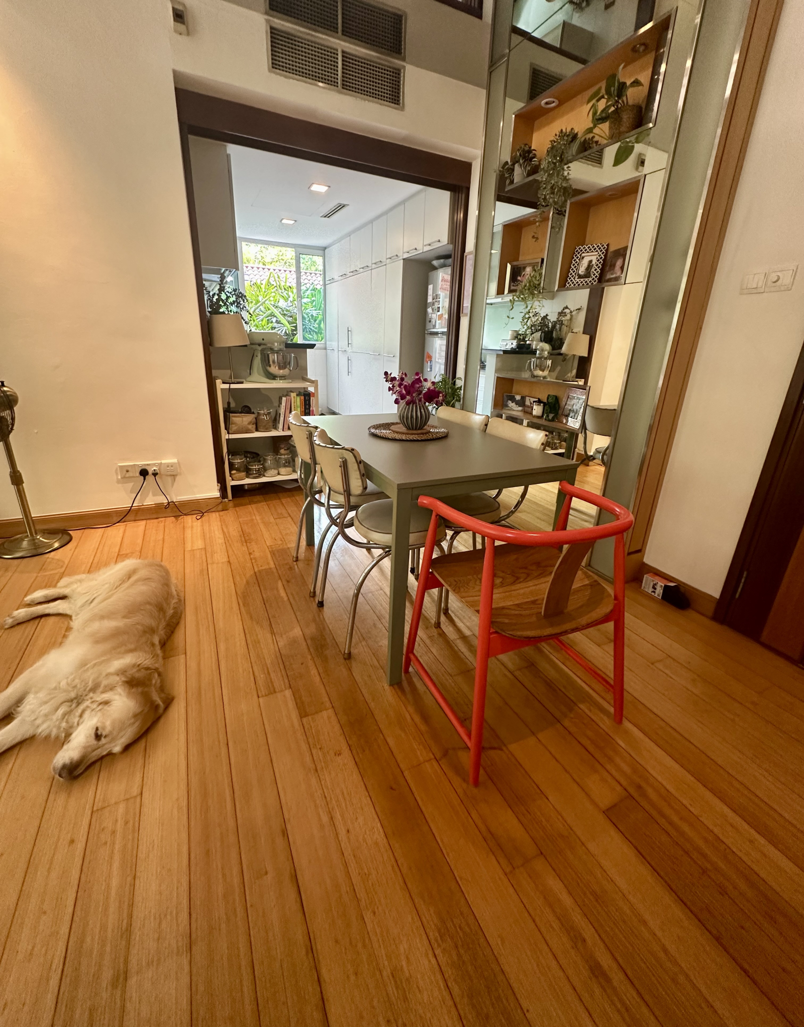 Área de alimentação, até a cozinha