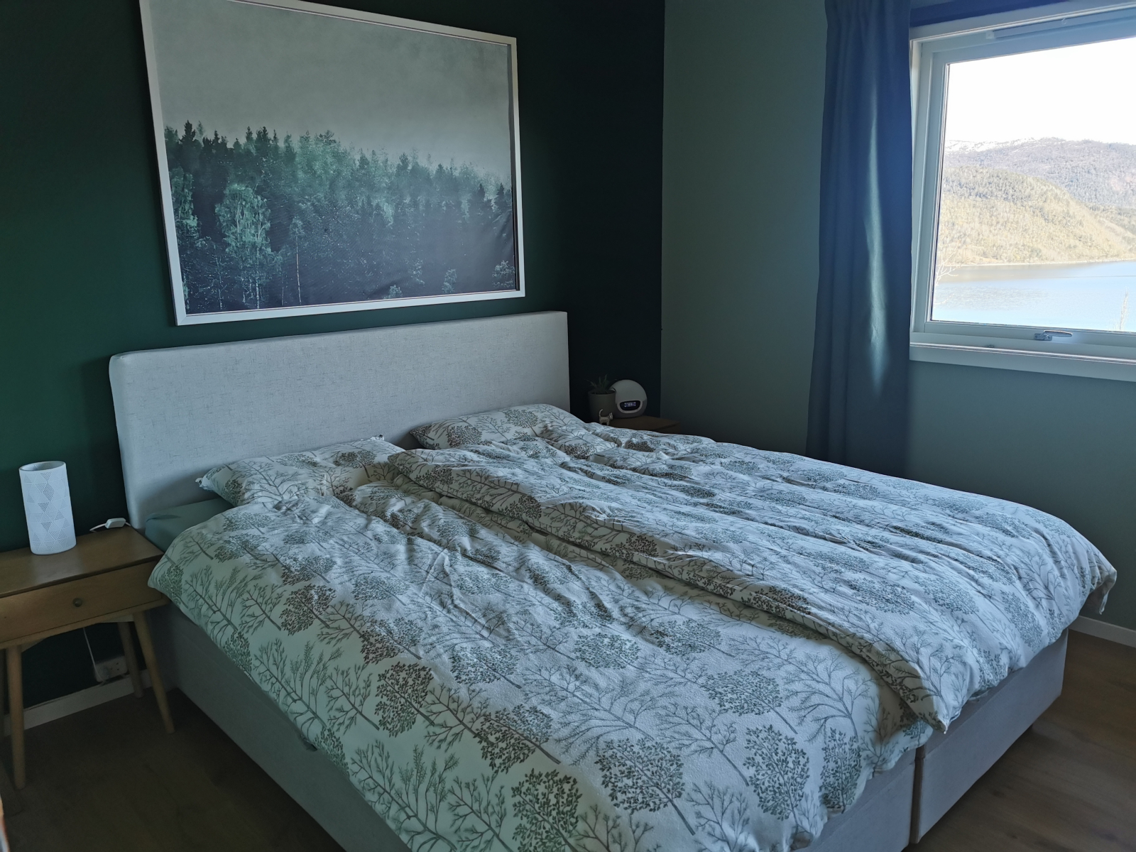 Casa vicino alla bellissima natura nel nord della Norvegia con un gattino coccolono