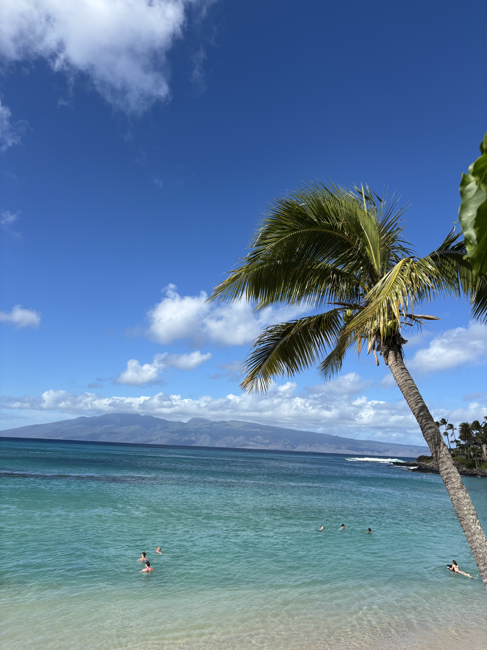 Belle maison rénovée à West Maui