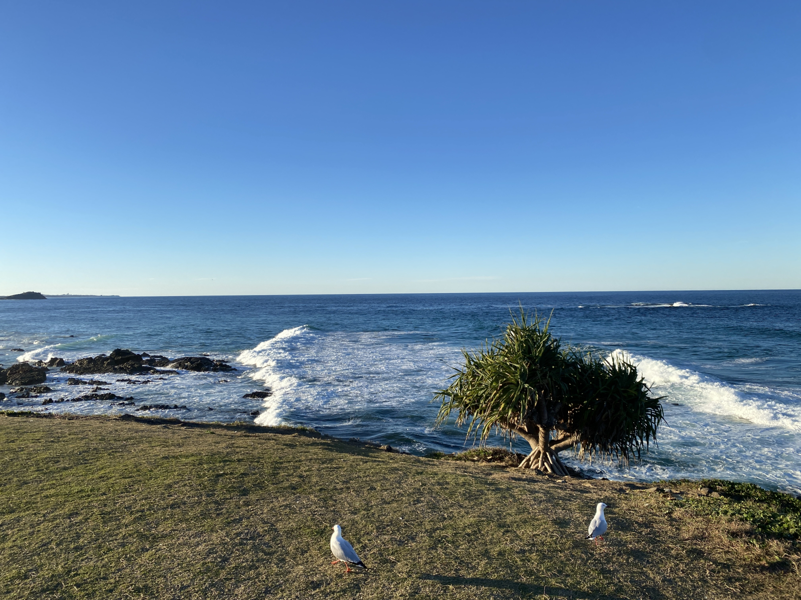 Hastings Point Headland, 5 minutes from our house.