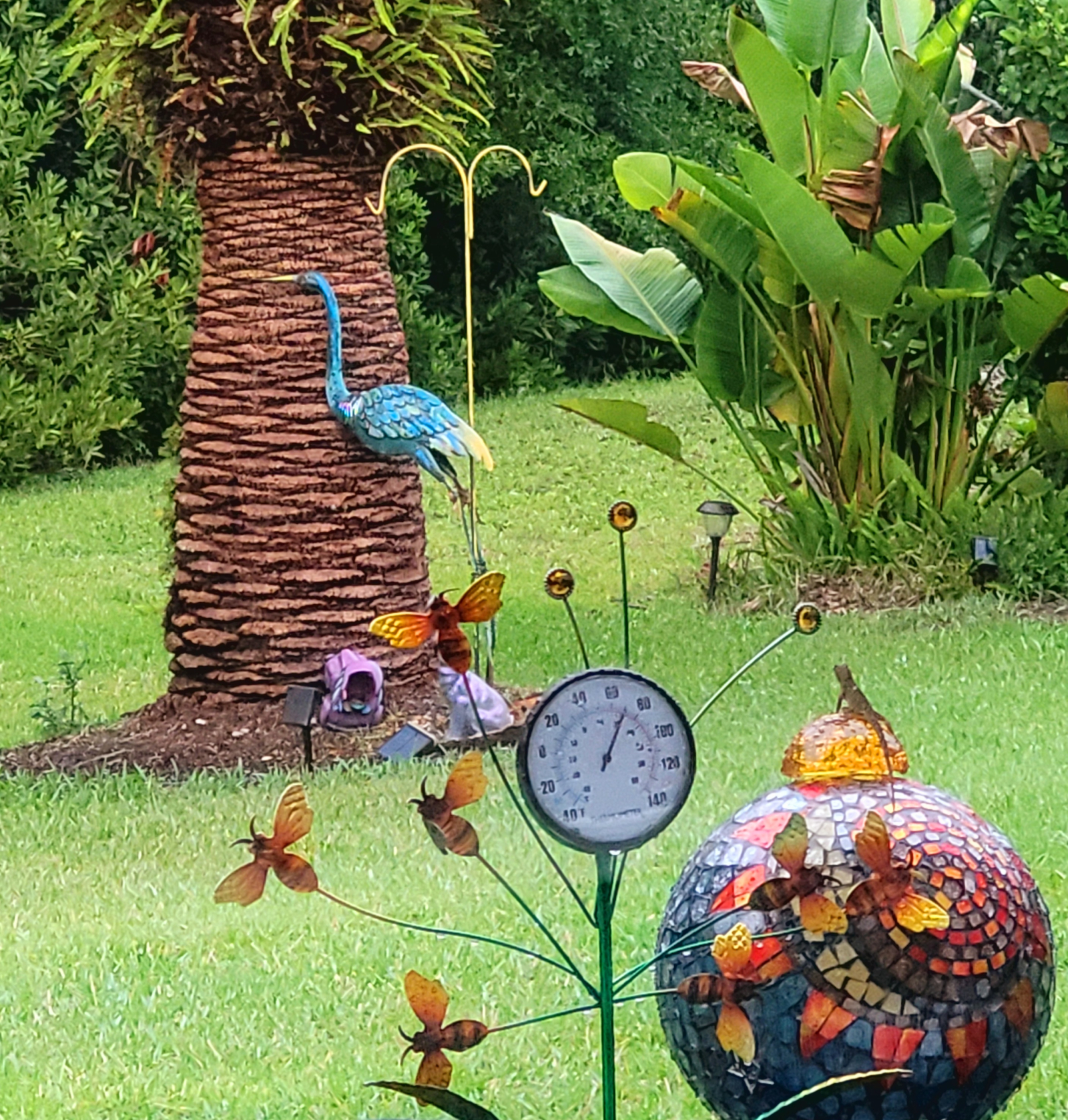 Hom fica em um terço da área cultivada.  Junto a uma floresta arborizada. 
Canárias e o enorme jard ...