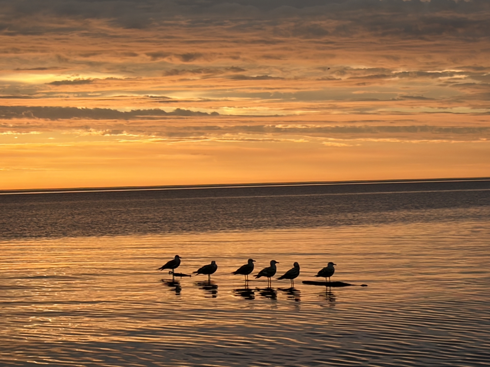 Wonen aan de oever van het meer