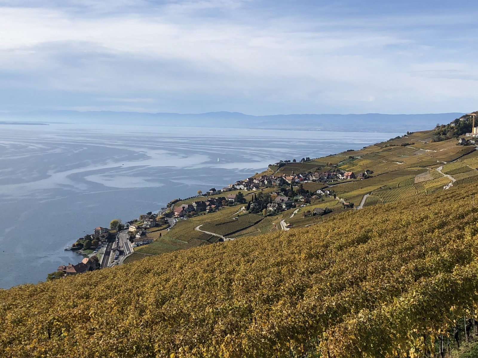Il Lago di Ginevra, visto dal Lavaux (una regione di vigneti terrazzati, patrimonio mondiale dell'UN ...