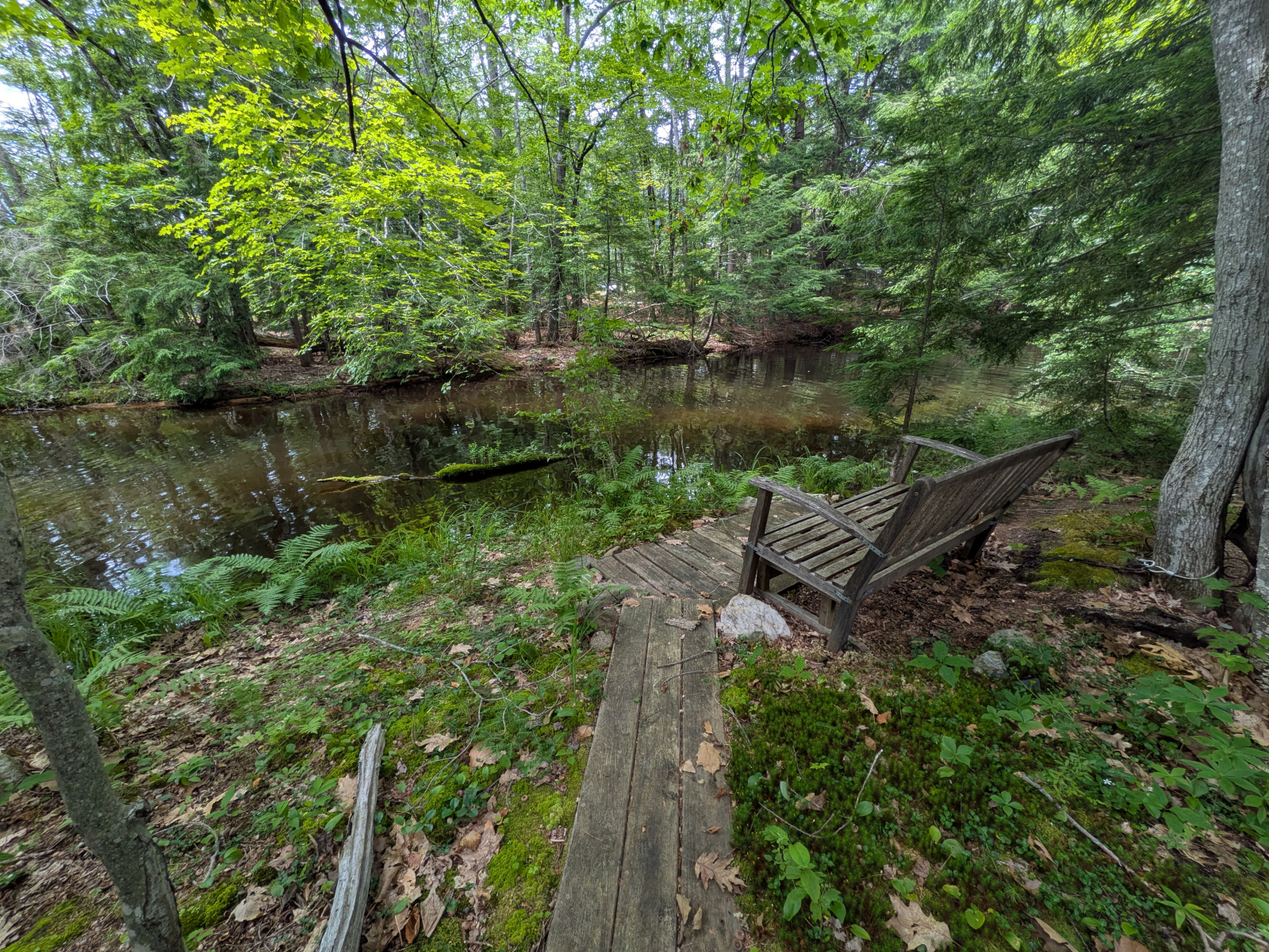 Il tronco muschioso zen galleggiante.