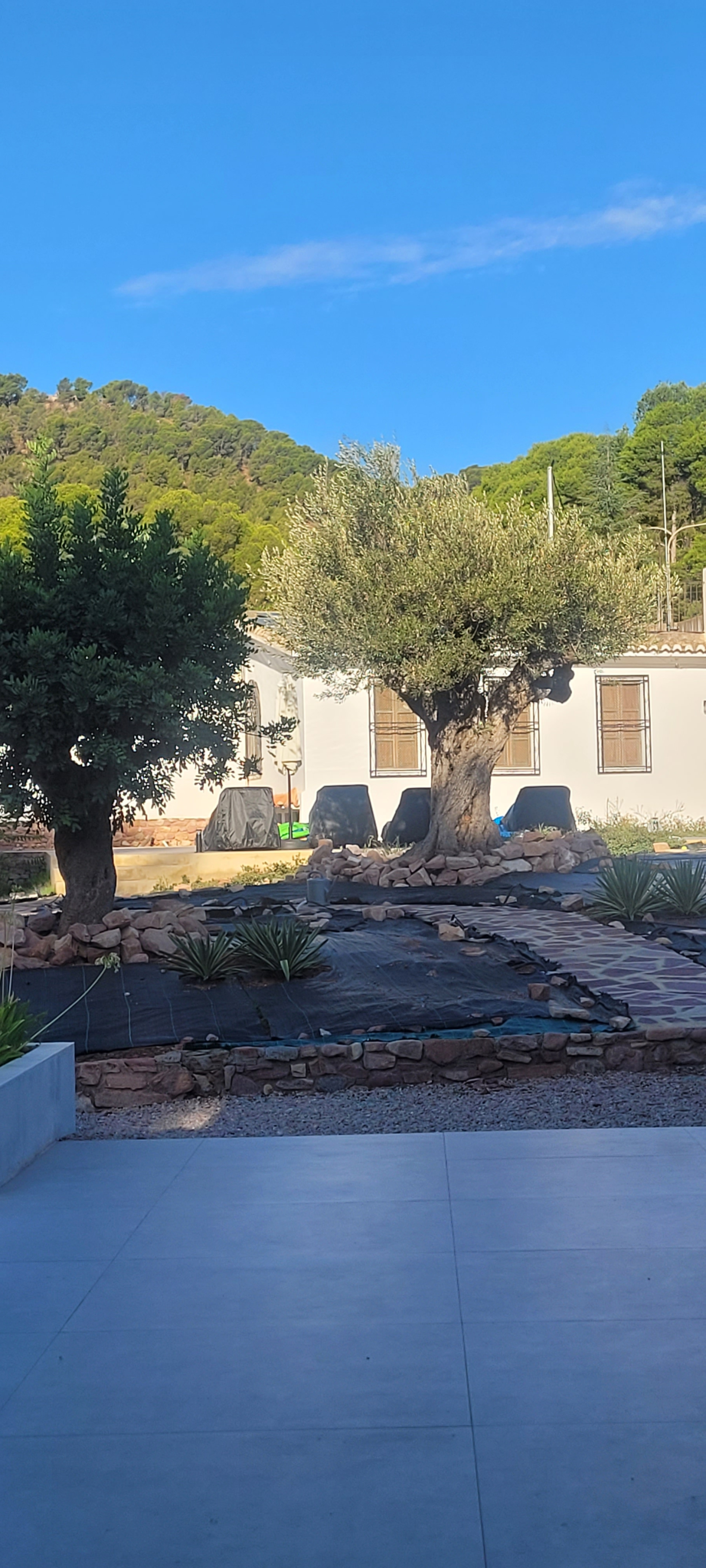 View of casita from main house. please note the garden area is being completed in Autumn 2025