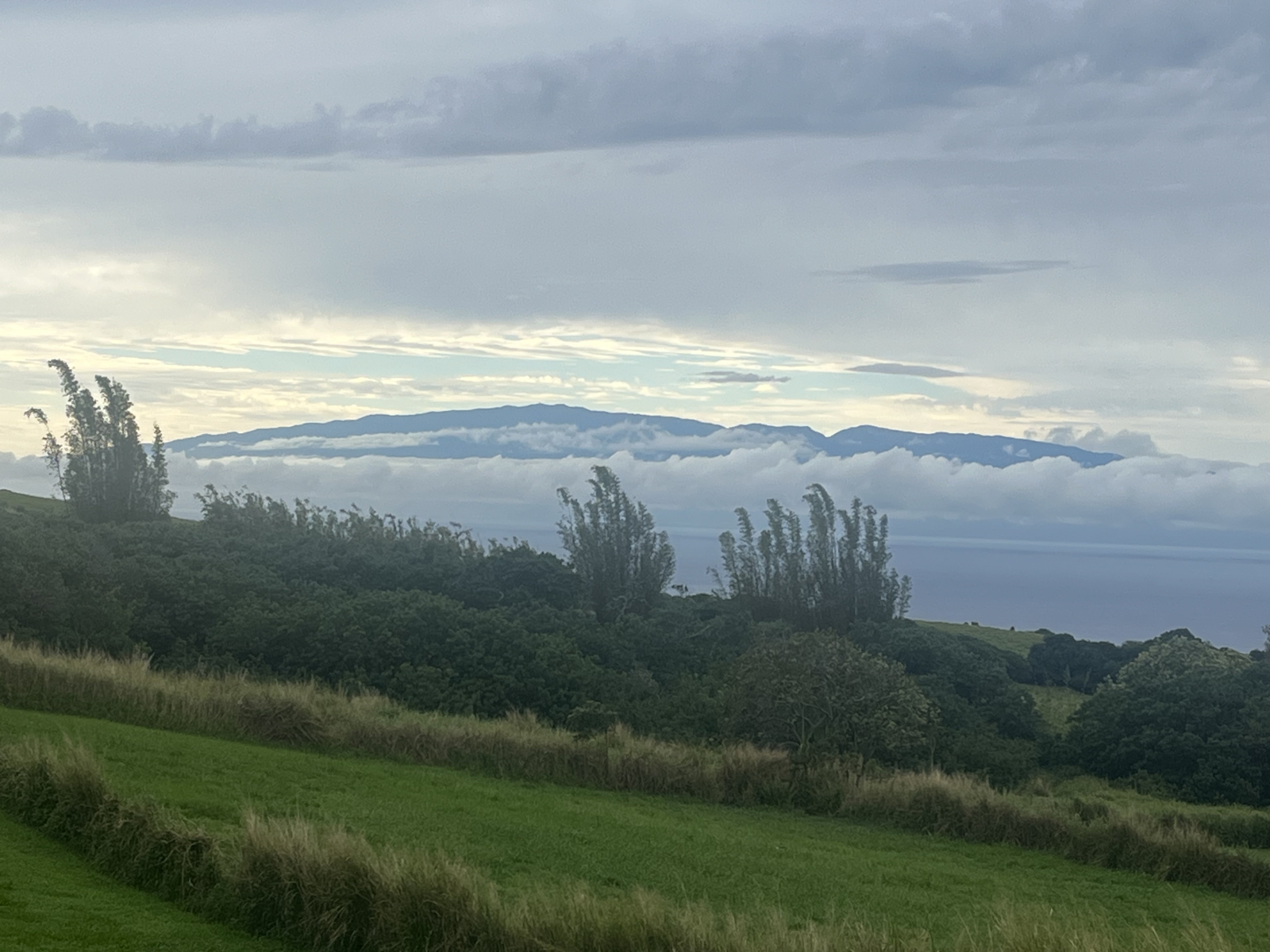 Maui vom Küchenfenster aus