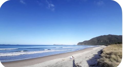 Ultima Fuga Estiva a Coromandel (casa e casa per ospiti) a Pauanui, Nuova Zelanda