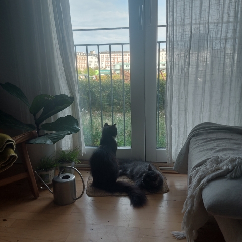 Appartement au bord de l’eau de Copenhague