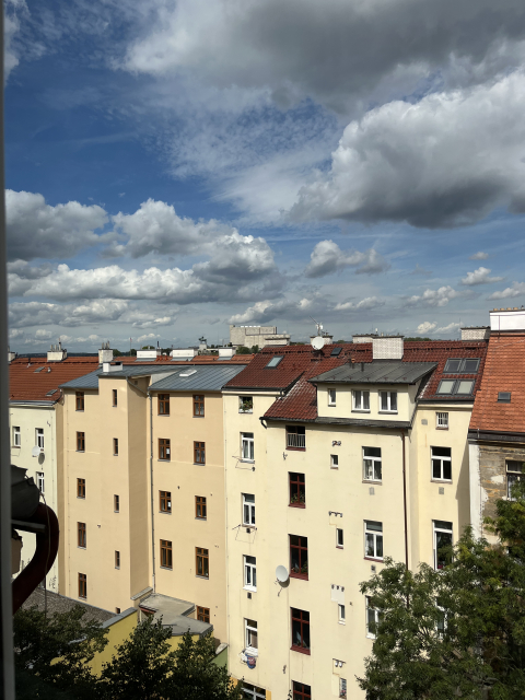 Charming & Sunny Central Prague Apartment with Courtyard Views (Žižkov / Vinohrady border)