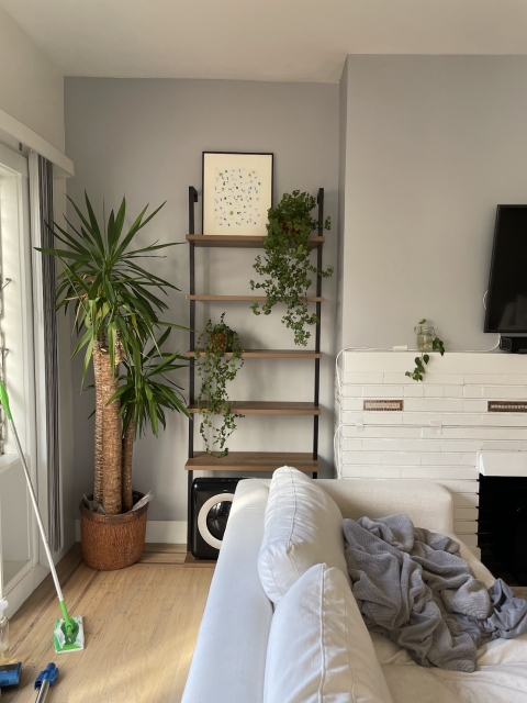 Central Buckhead apartment