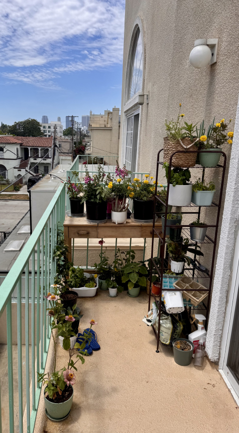Sunny, künstlerische Wohnung