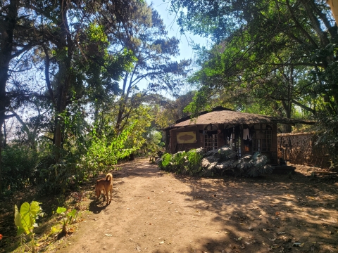 Cottage Forêt Douillet
