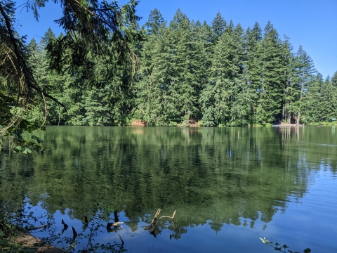 Toegangspoort tot de Columbia River Gorge, 20 minuten van Portland, OR