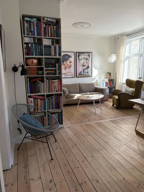 Licht, rustig en gezellig appartement in het centrum van Kopenhagen